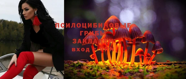 дмт Алзамай