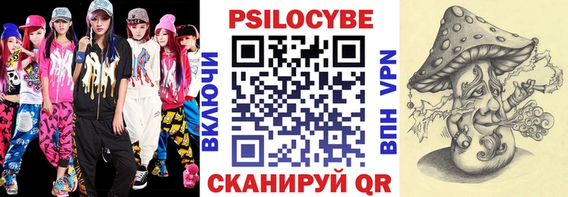 mega ссылка  Касимов  Псилоцибиновые грибы ЛСД  закладка 